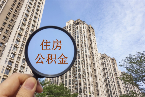 齐河公积金的提（&quot;公积金提取&quot;）